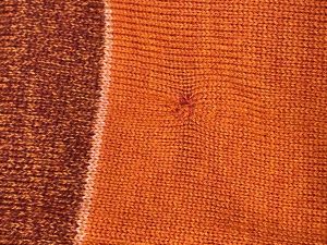 Дамски зимен шал